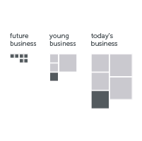 The Three Horizons: core business now, emerging business growth, and new business future